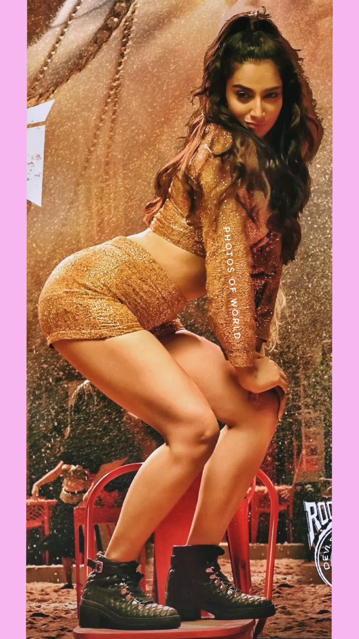 meenakshi chaudhary boobs 